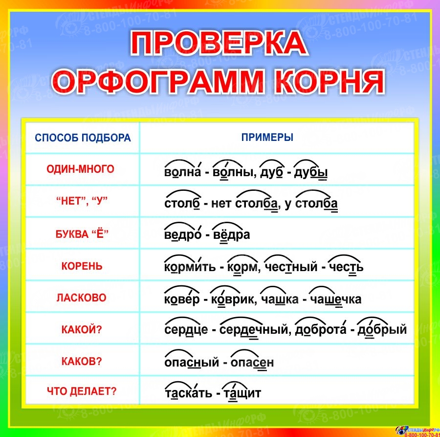 Купить Стенд Проверка орфограмм корня в радужных тонах 550*550мм 📄 с  доставкой по Беларуси | интернет-магазин СтендыИнфо.РФ